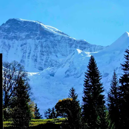 Apartamento Breithorn Apt-09 By Interhome