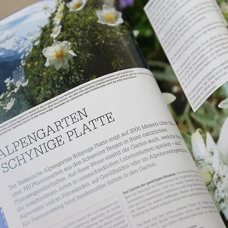 Breithorn Apt-09 By Interhome *