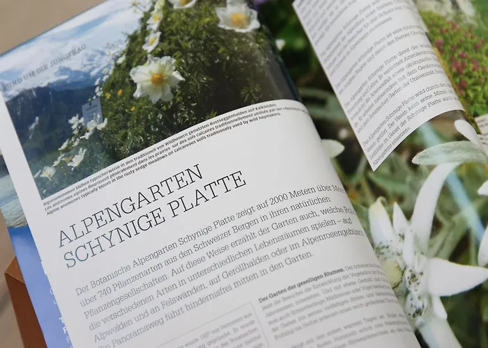 Breithorn Apt-09 By Interhome *