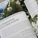 Breithorn Apt-09 By Interhome *